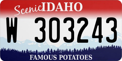 ID license plate W303243