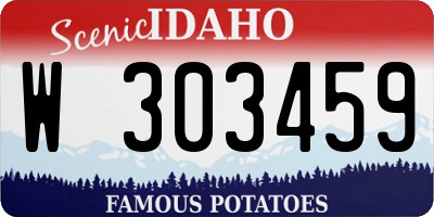 ID license plate W303459