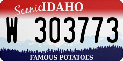 ID license plate W303773