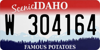 ID license plate W304164
