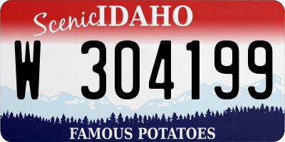 ID license plate W304199
