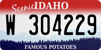 ID license plate W304229
