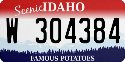 ID license plate W304384