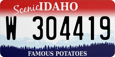 ID license plate W304419