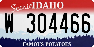 ID license plate W304466
