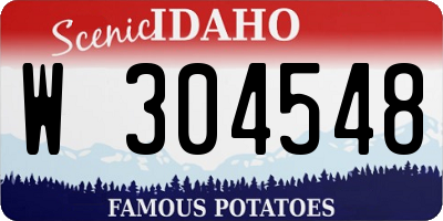 ID license plate W304548