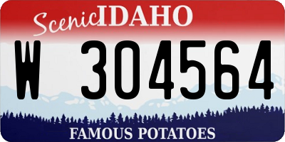 ID license plate W304564