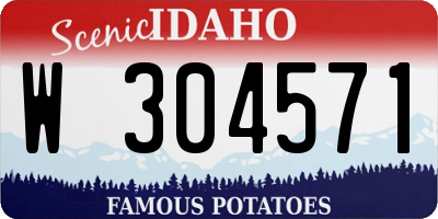 ID license plate W304571
