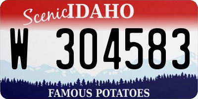 ID license plate W304583