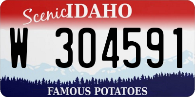 ID license plate W304591