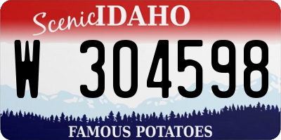 ID license plate W304598