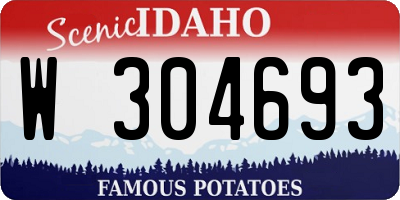 ID license plate W304693