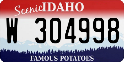 ID license plate W304998
