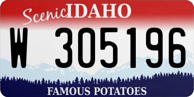 ID license plate W305196