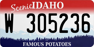 ID license plate W305236