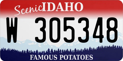 ID license plate W305348
