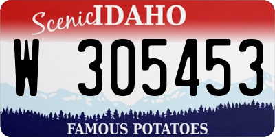 ID license plate W305453