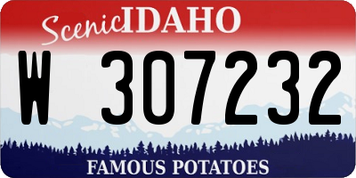 ID license plate W307232