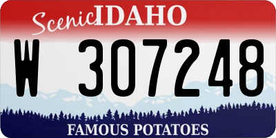 ID license plate W307248