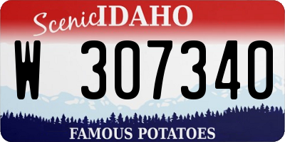 ID license plate W307340