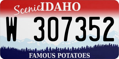 ID license plate W307352
