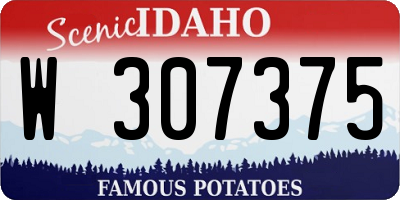ID license plate W307375
