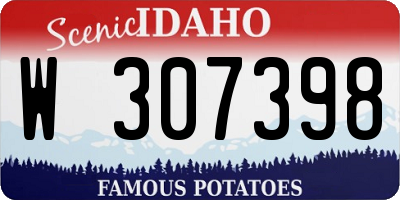 ID license plate W307398