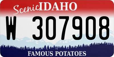 ID license plate W307908
