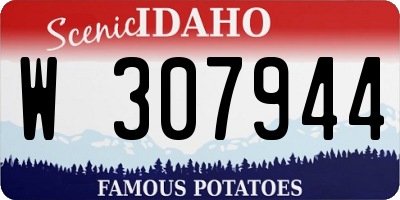ID license plate W307944