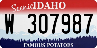 ID license plate W307987