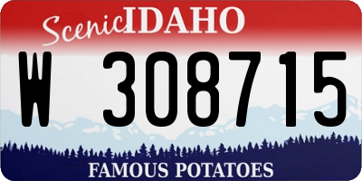ID license plate W308715