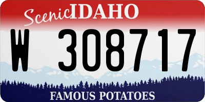 ID license plate W308717