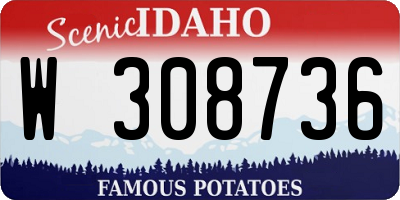ID license plate W308736