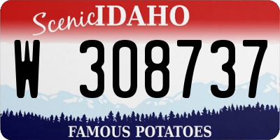 ID license plate W308737