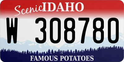 ID license plate W308780