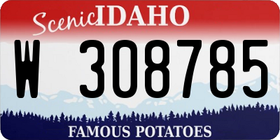 ID license plate W308785