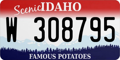 ID license plate W308795