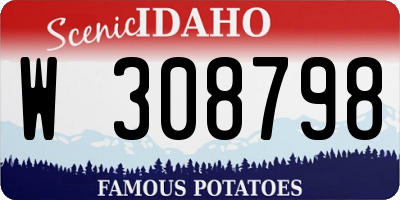 ID license plate W308798