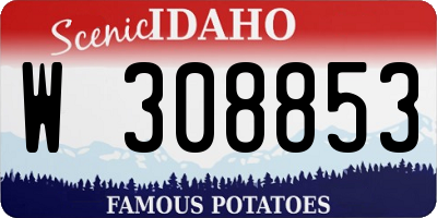 ID license plate W308853