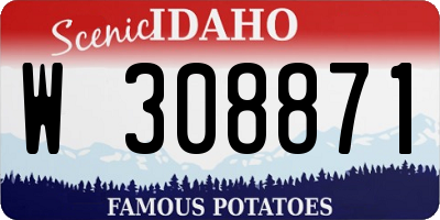 ID license plate W308871