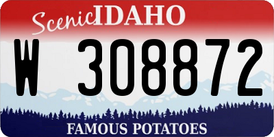 ID license plate W308872