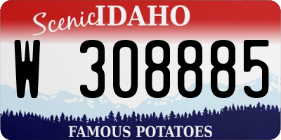 ID license plate W308885