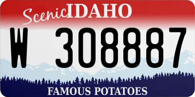 ID license plate W308887