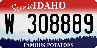 ID license plate W308889