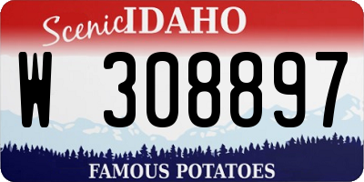 ID license plate W308897