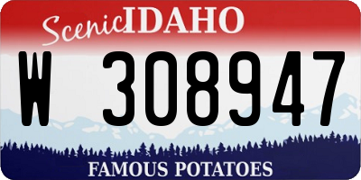 ID license plate W308947