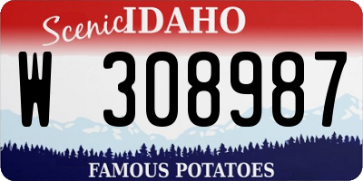 ID license plate W308987