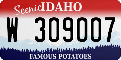 ID license plate W309007