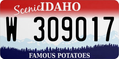 ID license plate W309017