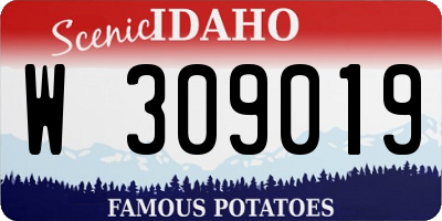 ID license plate W309019